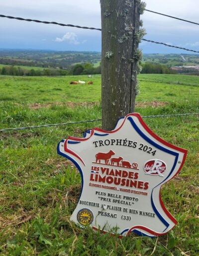 488703926_1306956107524952_8026835961328740677_n