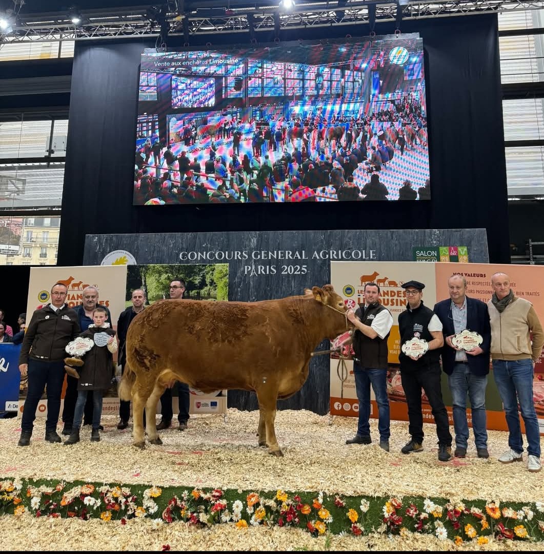 Au plaisir de bien manger Pessac